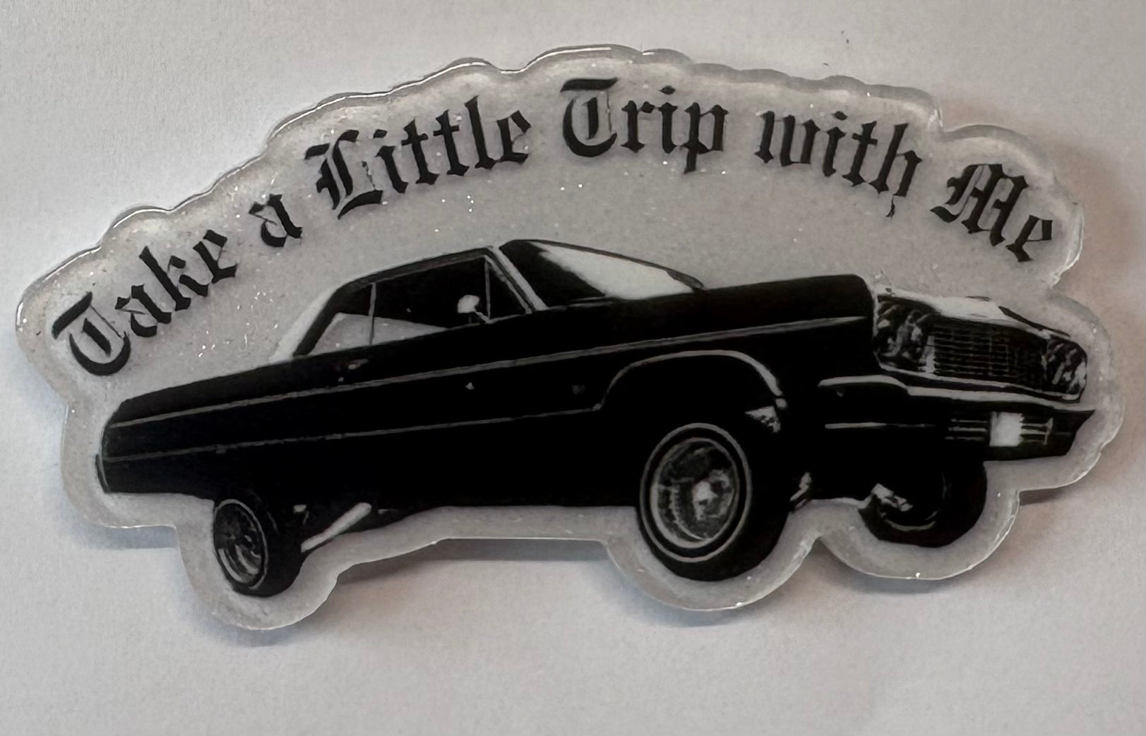 Take A Trip With Me Magnet